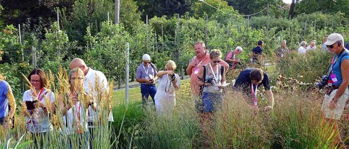 The 121 new plants that had been excellently cared for at the Wojsławice Arboretum impressed the International Hardy Plant Union