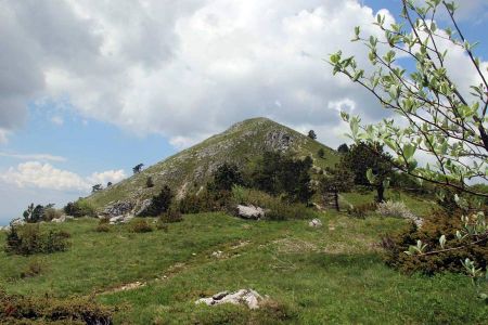 Excursion to the Slovenian High Karst 2025